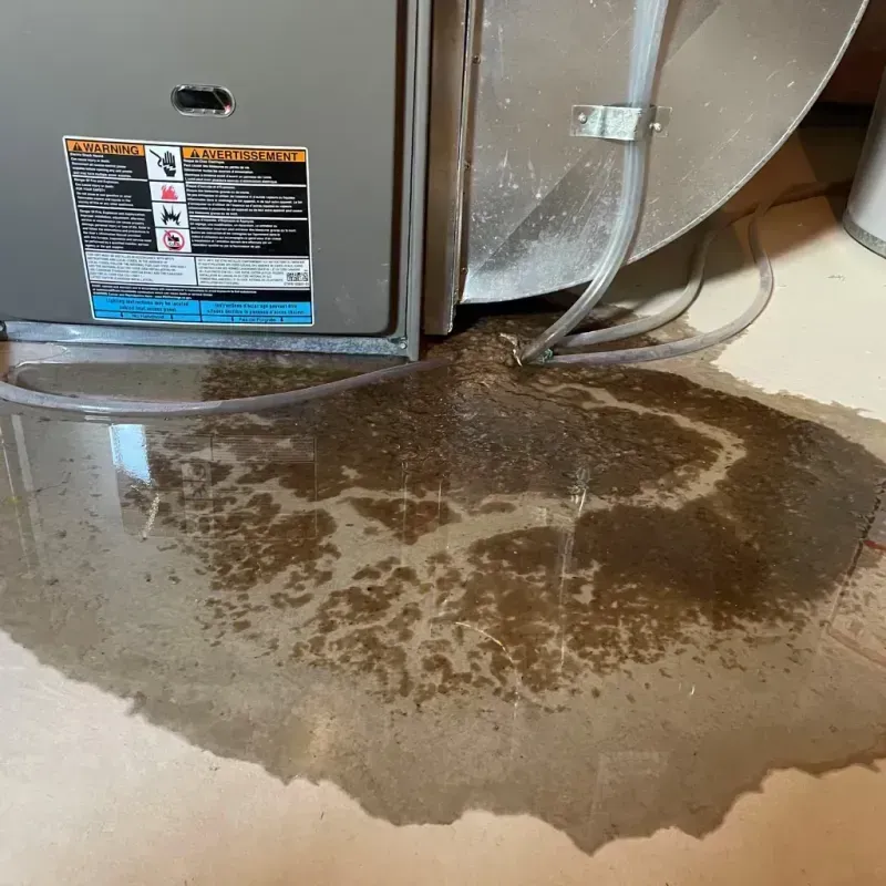 Appliance Leak Cleanup in Newport Beach, CA